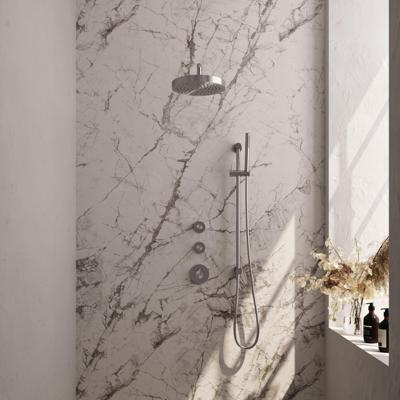Brauer Stripe thermostatische inbouw regendouche SET 08 met 25 cm douchekop en gebogen muurarm en staaf handdouche en doucheslang en geintegreerde glijstang RVS-kleurig geborsteld PVD