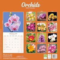 Orchidee Kalender 2026 - thumbnail