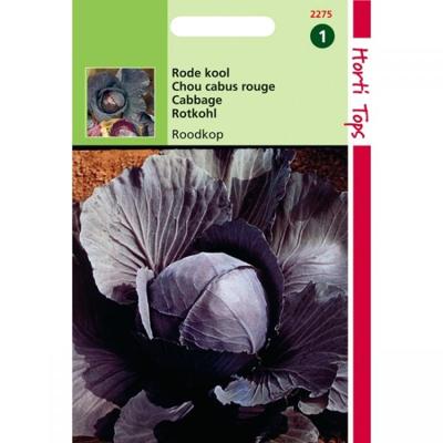 Zaden Rodekool Roodkop Hortitops - Hortitops