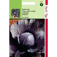 Zaden Rodekool Roodkop Hortitops - Hortitops - thumbnail