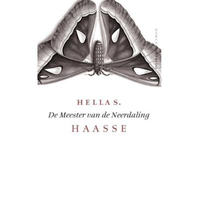 De meester van de neerdaling (Paperback)