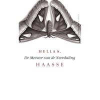 De meester van de neerdaling (Paperback) - thumbnail