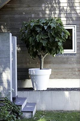 Elho: Pure Round Plantenbak 50 cm - Antraciet