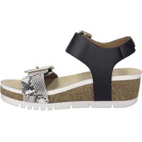 Josef Seibel QUINN 02 - alle - thumbnail