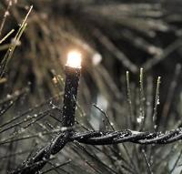 Konstsmide 3610-140 Micro-lichtketting Buiten werkt op het lichtnet Aantal lampen 40 LED Warmwit Verlichte lengte: 6.24 m - thumbnail