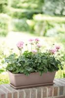 Barcelona Balconniere Schotel 50 taupe - thumbnail