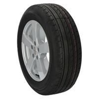 Imperial Snowdragon 3 - thumbnail