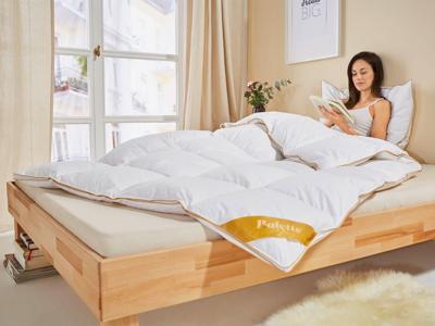 Balette deLuxe carré ganzendonzen dekbed Gold-Edition warm (140 x 200 cm) Balette deLuxe carré ganzendonzen dekbed Gold-Edition warm (140 x 200 cm)