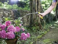 Kärcher Home & Garden Performance Plus 2.645-322.0 Tuinslang Zwart, Geel 25 m 1 stuk(s) - thumbnail