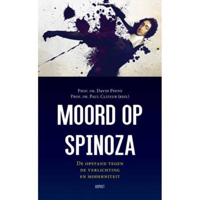 Moord op Spinoza (Paperback)