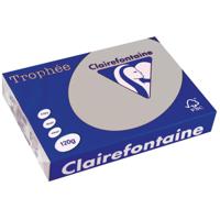 Clairefontaine Trophée Pastel, gekleurd papier, A4, 120 g, 250 vel, lichtgrijs - thumbnail