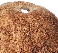 TRIXIE REPTILAND HALVE KOKOSNOOT 6X3 ST - thumbnail