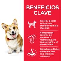 HILL'S Science Plan Adult Small & Mini - droog hondenvoer - 6 kg - thumbnail