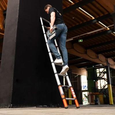 Batavia Telescoopladder 263m