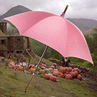 Noble Collection Harry Potter: Rubeus Hagrid's Umbrella Wand decoratie - thumbnail