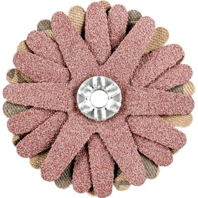 PFERD TOOLS 42732066 Schuurster Diameter 50 mm 10 stuk(s)