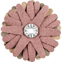 PFERD TOOLS 42732066 Schuurster Diameter 50 mm 10 stuk(s) - thumbnail