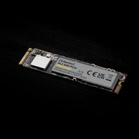 Intenso 250 GB NVMe/PCIe M.2 SSD harde schijf Retail 3835440 - thumbnail