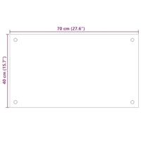 VidaXL Spatscherm keuken 70x40 cm gehard glas transparant - thumbnail
