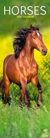 Horses Slim Calendar 2026 Horses Slimline Calendar - 12 Month - thumbnail