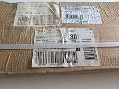 Schneider Electric NSYEC1241 Plaatdikte (max.): 1.5 mm Staal 1 stuk(s)