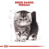 Royal Canin Persian voer voor kitten 2kg - thumbnail