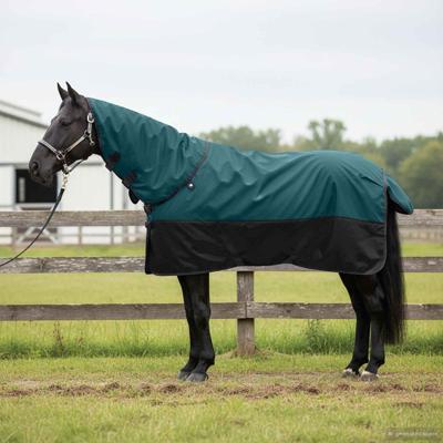 VidaXL Paardendeken donkergroen en zwart 135 cm polyester