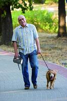 Oplaadbare LED-handspot Velamp 1W 1 W 100 Lm - thumbnail