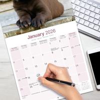 Labrador Retriever Bruin Kalender 2026 - thumbnail