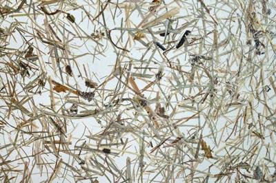 Stars of Light Houten plafondlampHontongas met beige kap - 390323