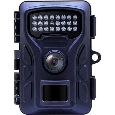 Stealth Gear bat 4k wildcamera