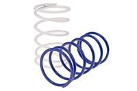 Polini Drukveer clutch back pressure spri reinforced(2 springs) - thumbnail