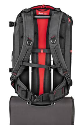Manfrotto Pro Light Cinematic rugzak Balance voor camcorder, zwart