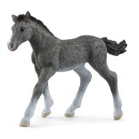 Schleich horse club trakehner veulen 13944 - thumbnail