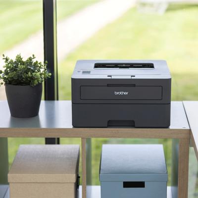 Brother HL-L2445DW Compacte zwart-witlaserprinter