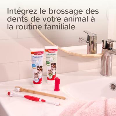 BEAPHAR TANDPASTA EN BORSTEL COMBI-PACK - thumbnail