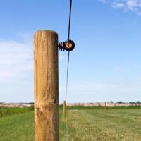 Gallagher XDI schroef-ringisolator hout (250) - 060788 - 060788 - thumbnail