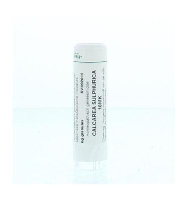 Homeoden Heel Calcarea sulphurica 10MK 6 Gram Homeoden Heel Calcarea sulphurica 10MK 6 Gram