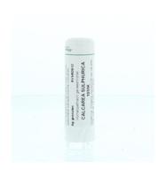 Homeoden Heel Calcarea sulphurica 10MK 6 Gram - thumbnail