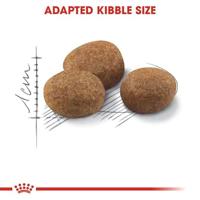Royal Canin Sterilized Cat Food +7 400 gr - thumbnail