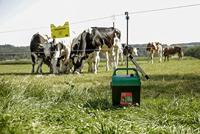 AKO powershock b290 - thumbnail