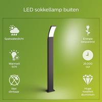 Splay Post Anthracite 12W 27K HV verlichting Philips - Philips - thumbnail