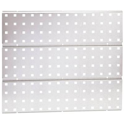 Raaco Super Clip Geperforeerd paneel galva - 118347 - 118347 Raaco Super Clip Geperforeerd paneel galva - 118347 - 118347