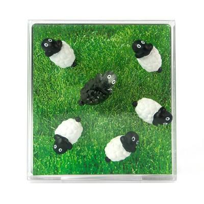 Trendform Magnetische Schaap - set van 6 stuks