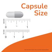 Acetyl-L Carnitine 100v-caps - thumbnail