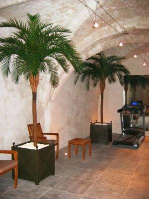 Phoenix kunstpalm deluxe OD 300cm Phoenix kunstpalm deluxe OD 300cm