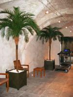 Phoenix kunstpalm deluxe OD 300cm - thumbnail