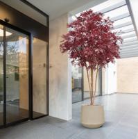 Japanse Acer Kunstboom Deluxe 325cm Burgundy - thumbnail