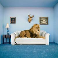 Clementoni The Master of the House, 250 Pcs Framepuzzel 250 stuk(s) - thumbnail