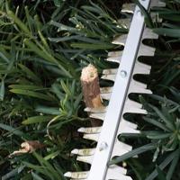 Makita UH020GZ Accu-heggenschaar Accu Zonder accu 460 W 40 V Li-ion 500 mm - thumbnail